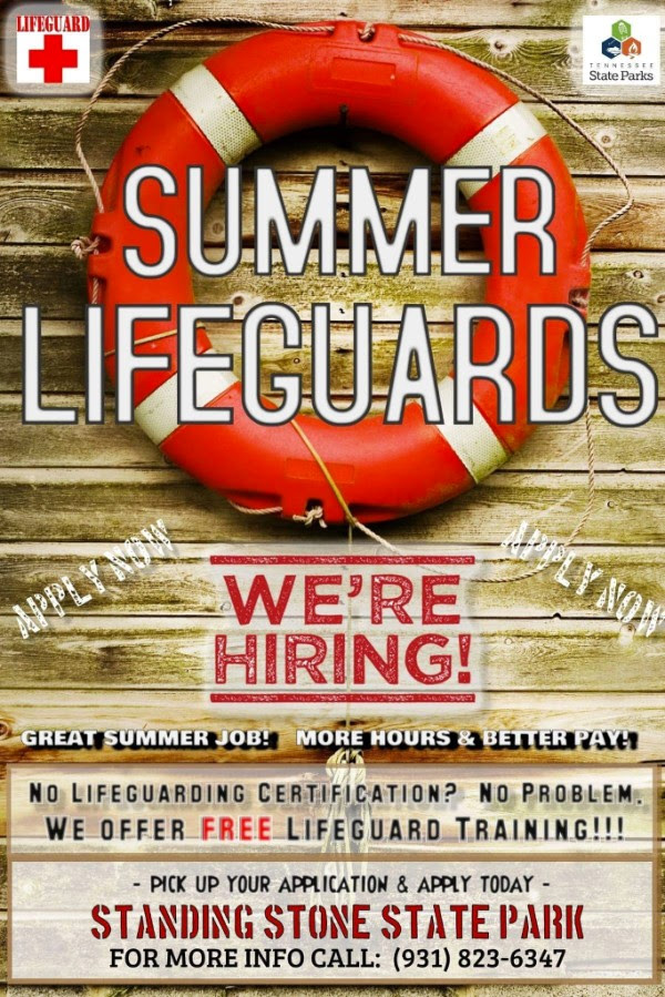 summer lifeguards
