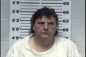 HALE, LORI ANN - Vio Parole; Theft >$10,000 - $59,999; Passing Forged Papers; Forgery; Violation Check Law