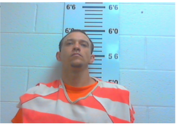 Hall, Jessie Ray - Holding for Another County on Warrant
