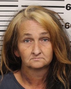 Jeanette Catlin-Public Intoxication-Disorderly Conduct-Misuse of 911-Possession Of Marijuana-Del-MFG-Sell Possession Controlled Substance