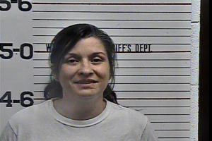 Lawson, Amy Janette - FTA DUI Theft Under $500; DUI 1st, Meth Mfg:Del:Sell:Poss w:Intent