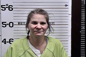 Lawson, Cheri Lynn - Here for Court; VOP Mfg:Del:Sell Poss Meth; Poss:Mfg:Sell:Dell Controll Sub, Para; VOP Amended