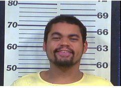 Lopez, Chritopher Michael - Poss Drug Para; Theft of Property; Escape from Incarceratin; Simple Poss Meth