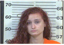 Nelson, Alexis Brooke - Theft of Property X 4