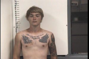 Peat, Austin Bradley - Murder 1st Degree Attempted; Aggravated Assault; Vandalism