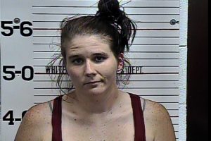 Raines, Kimberly Denise - Unlawful Drug Para; Altering:Forging Titles or Plates