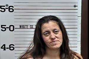 Rebecca McCurry-Falsifying Drug Test-Resisting Official Detention
