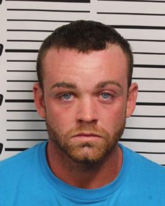 Shanahan, Leonard Michael - Domestic Assault