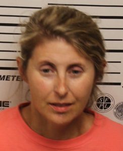 Stover, Jennifer Leigh - DUI Intox:Drugs; VIO Implied Consent Law
