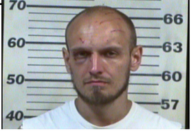 Strader, Michael Scott - Agg Kidnapping; Agg Assault-Domestic; Theft of Merchandise; Domestic Assault