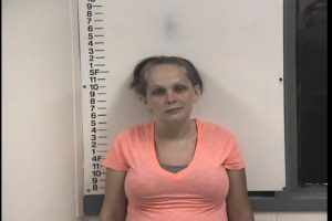 Wilmoth, Stephanie Michelle - No Charges; GS VOP Theft