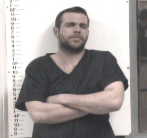 Daniel Mosley-theft of Property-MAN-DEL-SELL Controlled Substance-Surrender of Principal-Poss of Firearms bt certain Person