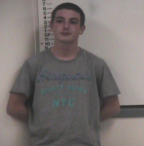 Nicholas Geesling-Burglary-Fail to Appear or Pay-Evadinf Reckless Endangermetn-Criminal Summons-Theft or Property