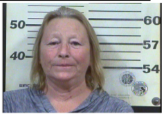 Putnam, Kimberly Lynn - Domestic Assault
