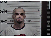 Wilmoth, Charles Robert - Evading Arrest; Evading Arrest w:Motor Veh; Poss Drug Para; Reck Endang; Simple Poss; Failure to Appear; Theft of Property