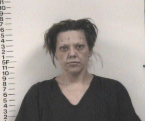 Amanda Borden-Violation of Probation-Fail to Appear or Pay-Attachment Child Suppport-Juvenile