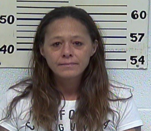 Amy Barnes-Violation of Probation-Alteration of Tag-Driving on Revoked-DUI-Assault Vehicular-Failure to Exercise Due care-