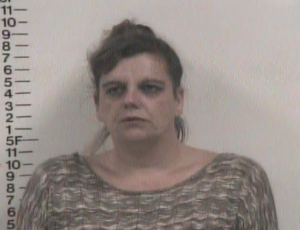 April Johnson-Violation of Probation on Theft