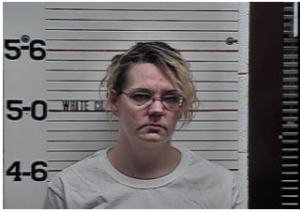 Brittany Harris-Here for Court from Overton CO-Theft of Property