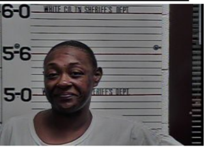 Tanisha Milton-Serving on Previous 48 Hours-Violation of Probation 1st on DUI