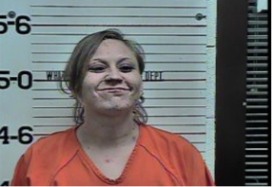 Tiffany Brymer-Possession of Drug Paraphernalia-Poss of Weapon Durning Offense-Poss MFg-SELL-DEL SCH II Meth-Felony Evading Arrest in Motor Vehicle