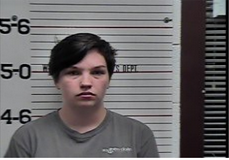 Cox, Haley Shenee - Theft of Property under 500; Forgery X 2