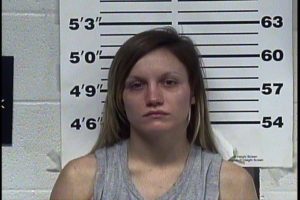 GRAY, ADRIENNE D - Resisting Arrest; Felony Poss Drug Para; Interference with Emergency Calls; Domestic Assault X 2; Theft of Merchandise; GS VOP; Need Description; Attachment:Child Support; Vandalism
