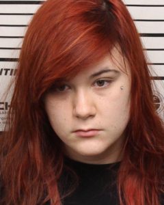 Gaw, Elizabeth - Failure to Appear; Evading Arrest; Agg Assault; Violation Order of Protection Restraint