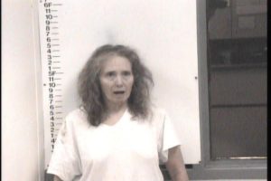 Sampley, Kimberly Ann - Evading Arrest; Disorderly Conduct; Resisting Arrest
