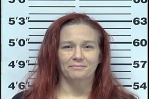 Cook, Amanda Leeann - CC Violation of Probation