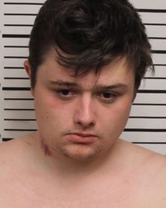 Watkins, Brandon Leon Kieth - Domestic Assault; Resisting Arrest; Underage Poss or Consumption of Alcohol