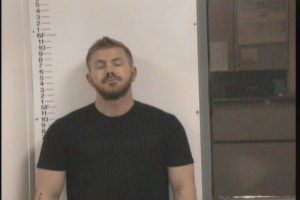 Davis, Jon Michael - Harassment; Theft of Property; Unlawful Shownings Which Depicts Sexual Unlawful Exposure
