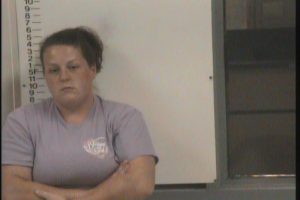 Ford, Shirley Nicole - GS Violation of Probation Theft