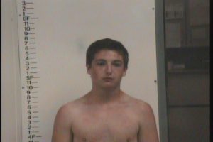 Geesling, Nicholas Kaden - Resisting Arrest; Poss of Firearms by Certain Person during Commission; Reckless Endangerment; Evading Arrest; Theft of Property; DUI