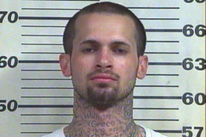 Greco, William - Intro. of Contraband Into Penal Institution, Felony Possession of Meth, Failure to Appeat