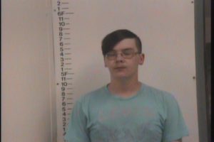 Henley, Matthew Steven - GS Violation of Probation Simple Poss Casual Exch