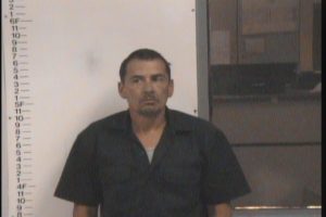 Henry, Joel Eugene - Poss Drug Para; Mft Del Sel Cont Sub Meth Mfg; Altering Falsifying or Forging Auto Title; Evading Arrest; GS FTA P Theft of Merchandise; DUI; No Charges