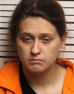 Lisa Cook-Criminal Trespassing-Violation of Probation-Failure to Appear or Pay