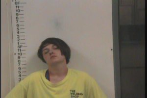 Auxier, Krystal Gail - GS Violation of Probation Theft; No Charges