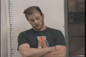 Gehring, Benjamin Gregory - Unlawful Poss of Weapon by Convicted Felon; Meth Free TN Drug Act Mfg Del Sel Poss; Theft of Property