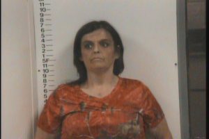 Hall, Peggy Renee - Resisting Arrest; Public Intoxication