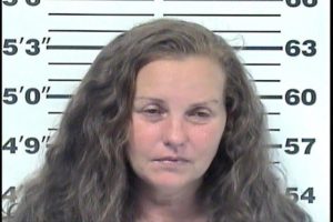 Manners, Sue Ann - DUI; Leaving Scene of Accident