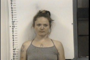 Reeves, Tonia Leah - GS Violation of Probation Theft