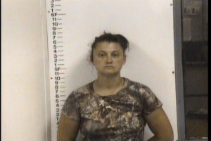 Beck, Heather Leann - CC Violation of Probation Assault X2