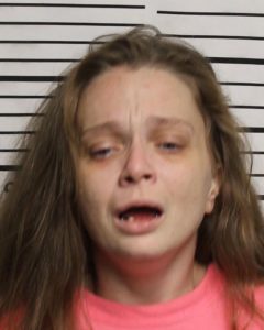 Spivey, April Roseann - GS Violation of Probation; GS FTA P Fines and Costs