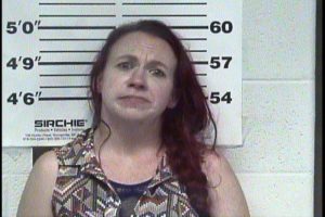 Eden, Sarah D - Child Abuse:Neglect Under 18 yrs; Public intoxication; Poss Mth; Poss Drug Para w:Intent to use