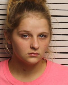 HUGHES, KAYLEE NICOLE - VANDALISM; FAILURE TO APPEAR OR OBEY COURT ORDERS