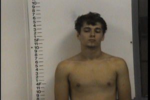 Lowhorn, Cole Aikman - Domestic Assault; Interference with Emergency Calls