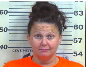 Ward, Lisa - DUI, Failure to File Accident Report, Leaving Scene of an Accident
