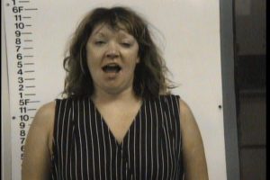 Wilson, Mandy Marie - Shoplifting Theft of Property; Public Intoxication